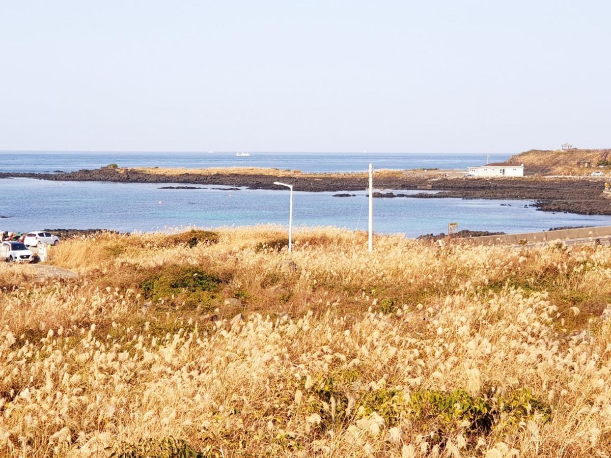Morning Beach Pension Jeju Exteriör bild